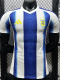 26-27 Argentina Blue White Special Edition Player Version Training shirts (黄标)