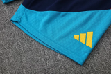 26-27 Spain Lake blue Training Short Suit