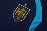 26-27 Spain Royal blue Training Short Suit