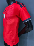 26-27 Algeria Red Special Edition Player Version Training shirts
