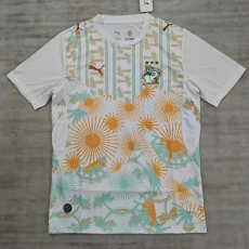 26-27 Ivory Coast Away Fans Soccer Jersey
