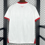 26-27 Jordan Home Fans Soccer Jersey