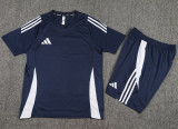 2024 AD Royal blue Training Short Suit