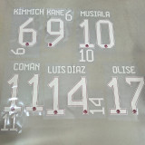 2025-26 Bayern Third Player Version Soccer Jersey