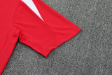 25-26 PsG Jordan Red Training short Suit