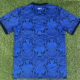 25-26 Guatemala Blue Training shirts