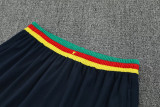 25-26 Cameroon Royal blue Training Short Suit