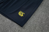 25-26 Cameroon Royal blue Training Short Suit