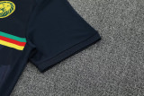 25-26 Cameroon Royal blue Training Short Suit