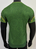 2025-26 Mali Green Player Version Soccer Jersey