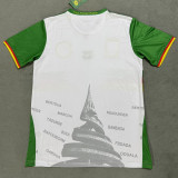 25-26 Cameroon Third Fans Soccer Jersey