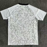 25-26 Benfica Special Edition White Fans Soccer Jersey