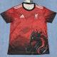 25-26 LIV Red Special Edition Fans Training shirts