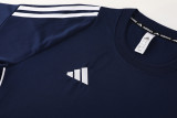 2024 AD06 Royal Blue Training Short Suit