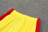 24-25 LIV Yellow Tank top and shorts suit