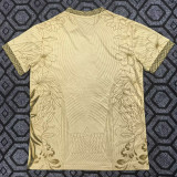 2025-26 Brazil Gold Special Edition Training shirts