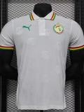 24-25 Senegal White Special Edition Player Version Training shirts