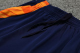 2024 AD Royal blue Training Short Suit