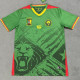25-26 Cameroon Home Fans Soccer Jersey