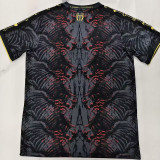2025 PSG Grey Red champion Training shirts