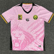 25-26 Cameroon Pink Fans Soccer Jersey