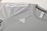 2024 AD06 Grey Training Short Suit