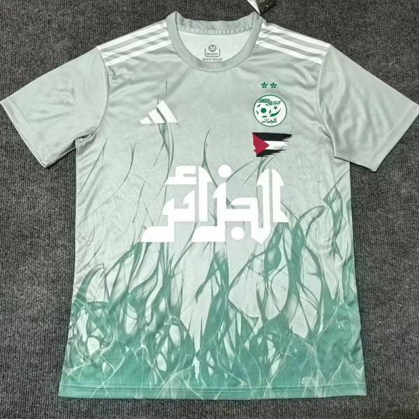 2024-25 Algeria Light Green Special Edition FansTraining shirts