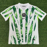 25-26 Nigeria Home Fans Soccer Jersey