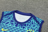24-25 Brazil Fancy blue Tank top and shorts suit