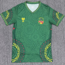 2025-26 Mali Green Fans Soccer Jersey