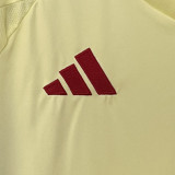 24-25 Spain Away 1:1 Fans Soccer Jersey