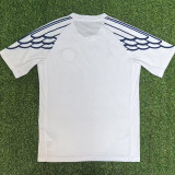 25-26 PSG White Special Edition Fans Training shirts (JD 蓝标)