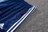 2025-26 RMA Royal blue Kids Jacket Tracksuit#E2549(童装)