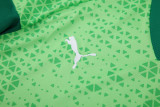 24-25 Palmeiras Light green Training Short Suit