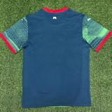 25-26 Portugal Green Training Shirts *PM
