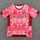 25-26 Norwich City Third Fans Soccer Jersey