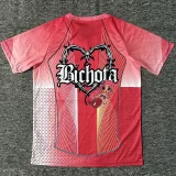 25-26 BAR Pink Concept Edition Training shirts (KA前后图)