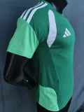 26-27 Algeria Green Player Version Training shirts