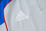 2025-26 Bayern Grey Polo Tracksuit #C2547