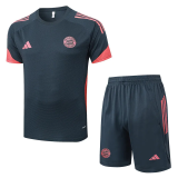 2025-26 Bayern Dark gray Training Short Suit