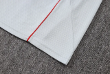 2025-26 Bayern Grey Polo Tracksuit #C2547
