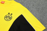 2025-26 Dortmund Yellow Training Short Suit