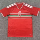 26-27 Wales Home Fans Soccer Jersey