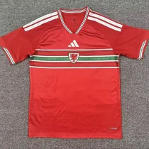 26-27 Wales Home Fans Soccer Jersey