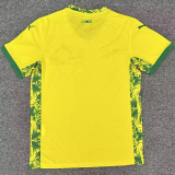 25-26 Mamelodi Sundowns Home Fans Soccer Jersey