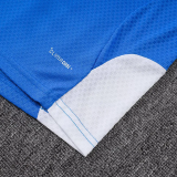 25-26 AD Fancy blue Player Version Training Short Suit (球员短套装)#D2505
