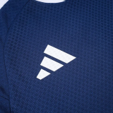25-26 AD Royal blue Player Version Training Short Suit (球员短套装)#D2506