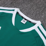 25-26 AD Green Player Version Training Short Suit (球员短套装)#D2506