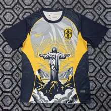 25-26 Brazil Yellow Grey Special Edition Training shirts (女神)