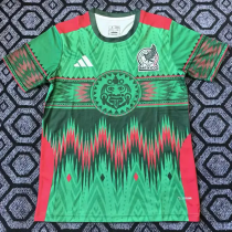 25-26 Mexico Green Special EditionTraining Shirts